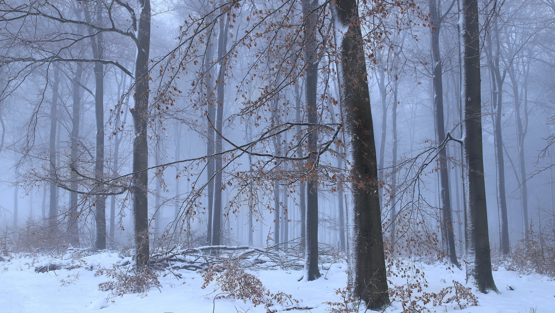 Winter auf dem Lattenberg im Naturpark Arnsberger Wald