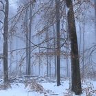 Winter auf dem Lattenberg im Naturpark Arnsberger Wald