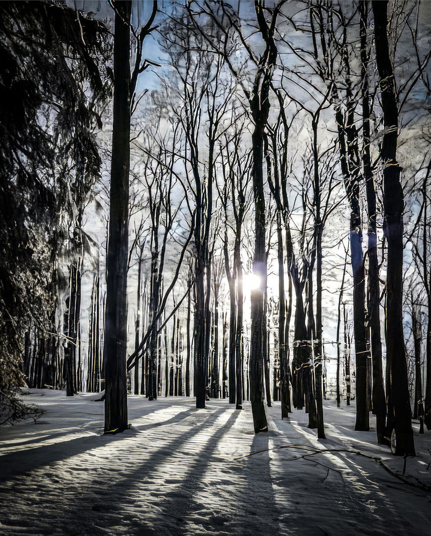 Winter auf dem Lusen