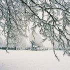 Winter auf dem Mainzer Lerchenberg