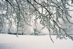 Winter auf dem Mainzer Lerchenberg