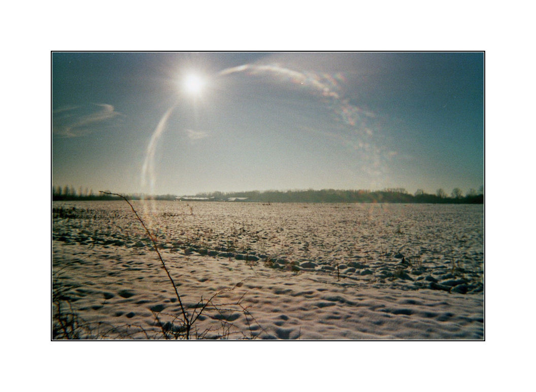 Winter auf dem Marienfeld