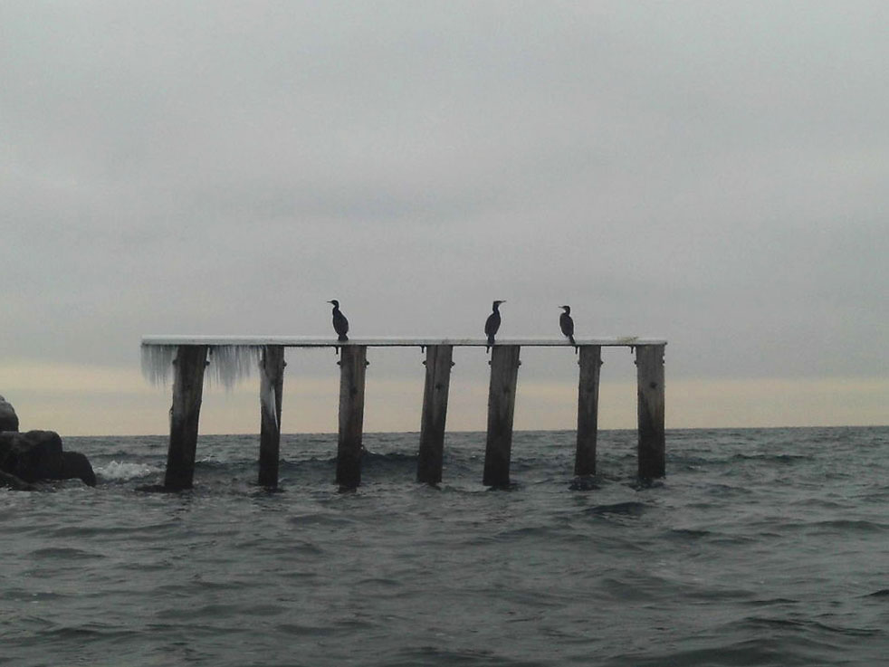 Winter auf dem Meer 