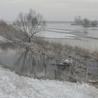 Winter auf dem Oderdeich  #5