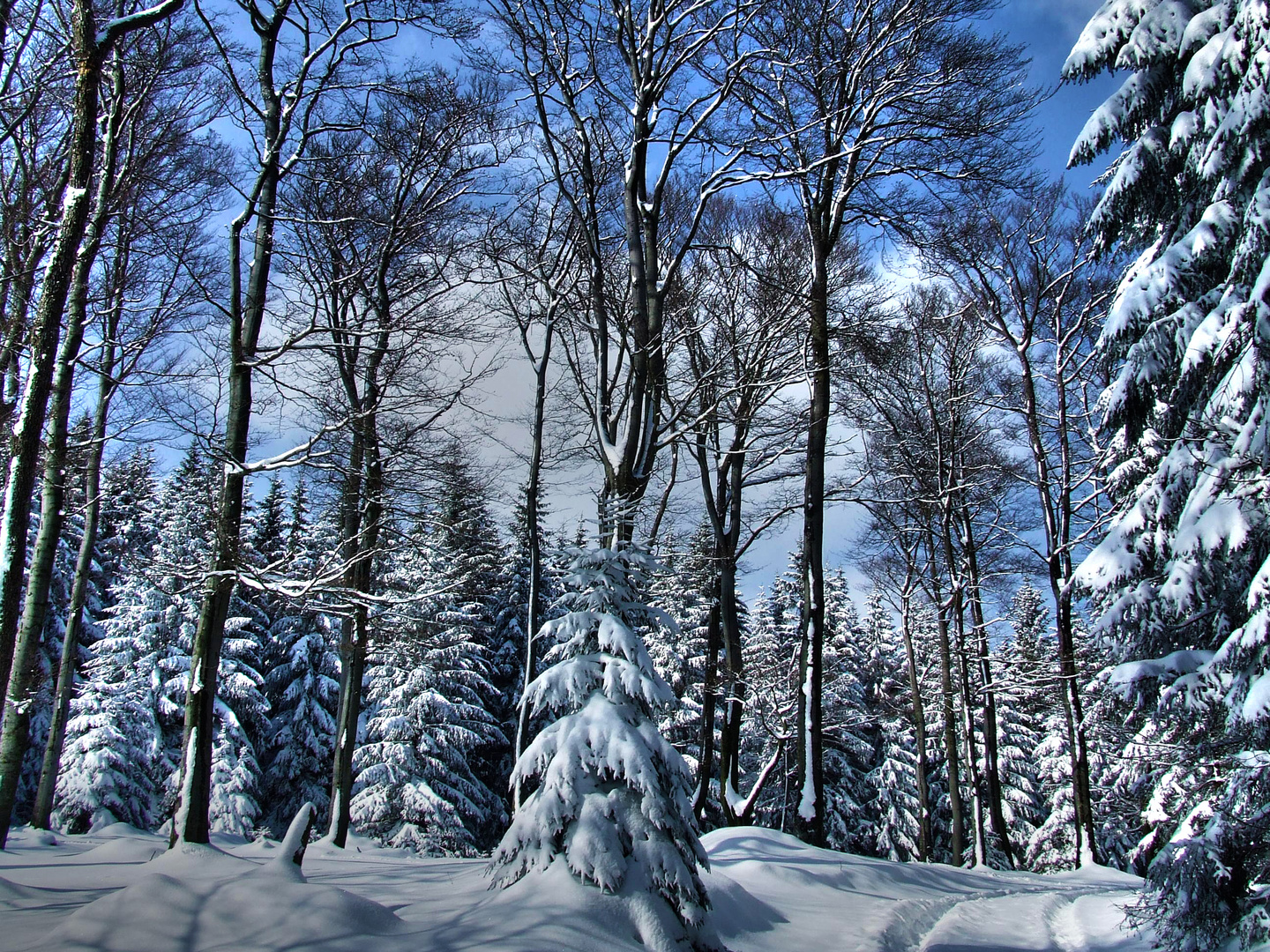 Winter auf dem Ohlenkopf nahe Gevelinghausen im Sauerland