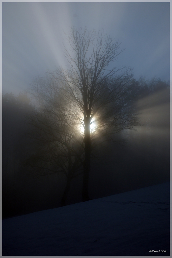 Winter auf dem Ottenberg #2