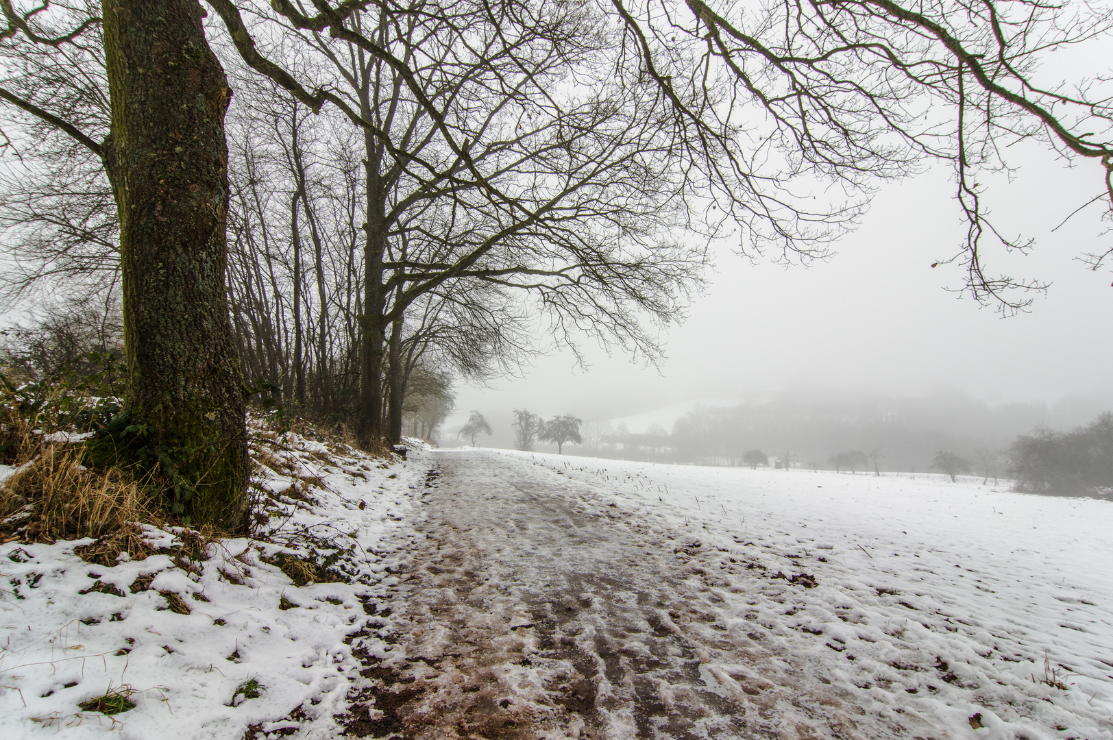 Winter auf dem Ottweiler Flur (Saarland)