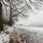 Winter auf dem Ottweiler Flur (Saarland)