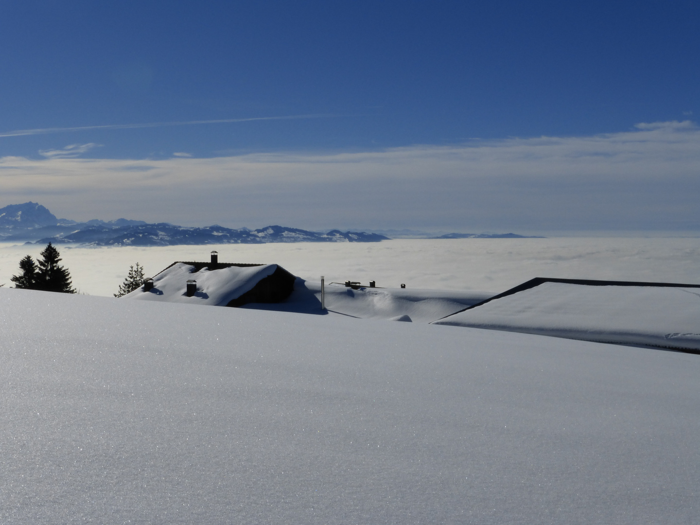 Winter auf dem Pfänder