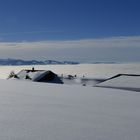 Winter auf dem Pfänder