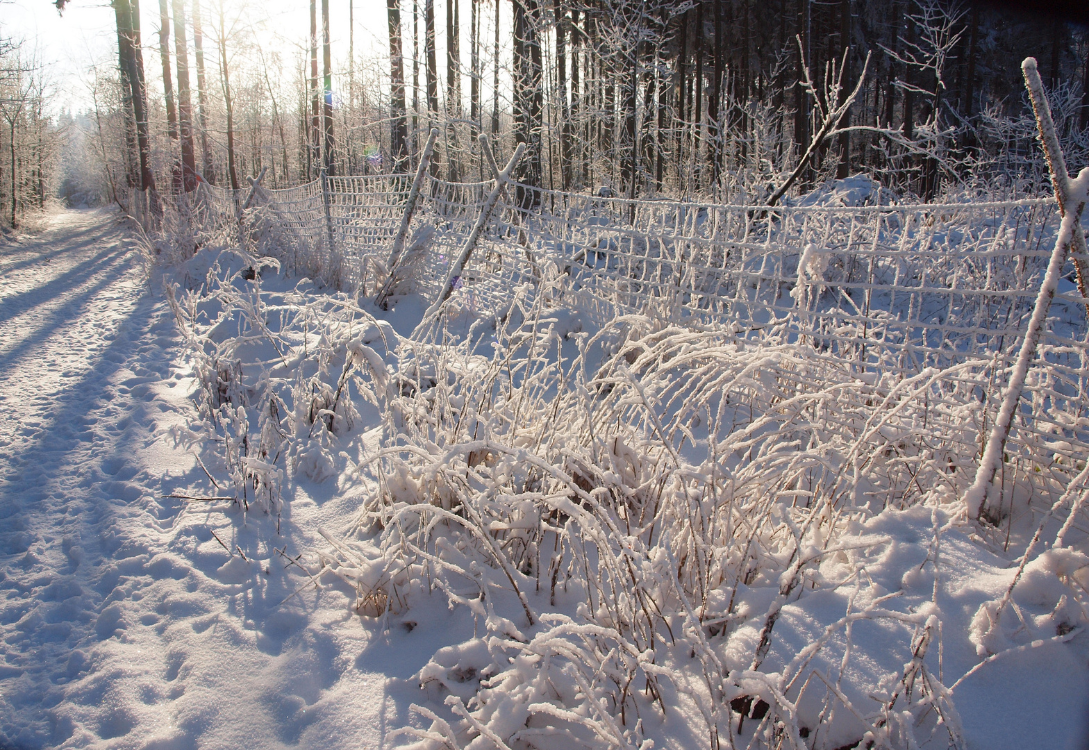 Winter auf dem Pöhlberg / 2