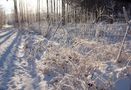 Winter auf dem Pöhlberg / 2 by Bergmaus 