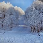 Winter auf dem Pöhlberg (alte Schanze)