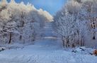 Winter auf dem Pöhlberg (alte Schanze) by Bergmaus 