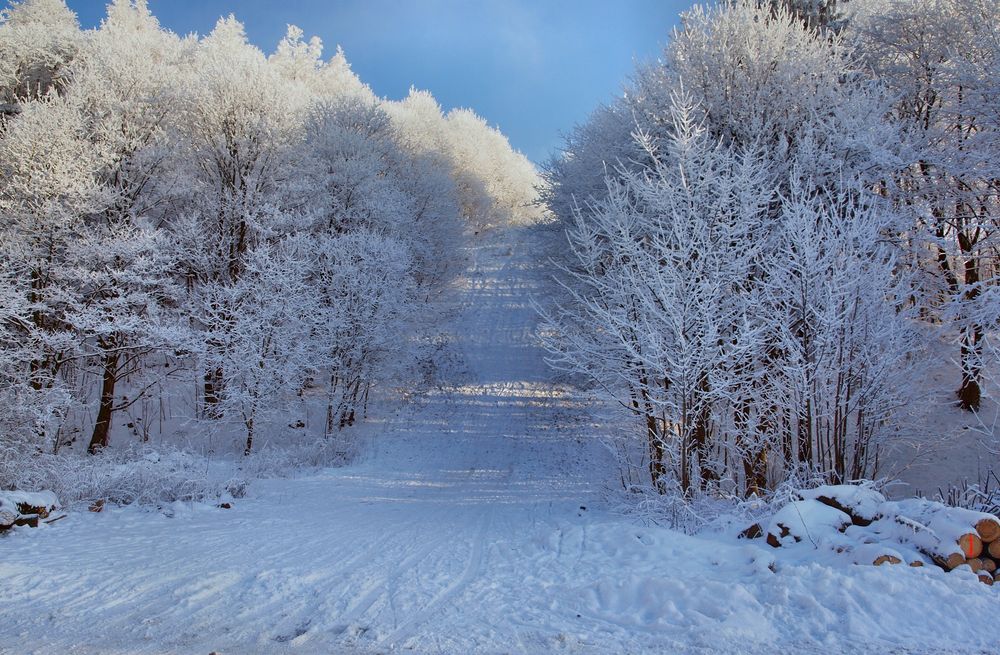 Winter auf dem Pöhlberg (alte Schanze)