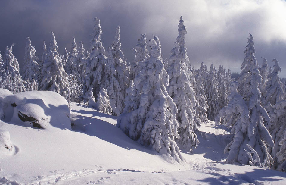 Winter auf dem Rachel - Nationalpark Bayerischer Wald