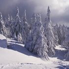 Winter auf dem Rachel - Nationalpark Bayerischer Wald