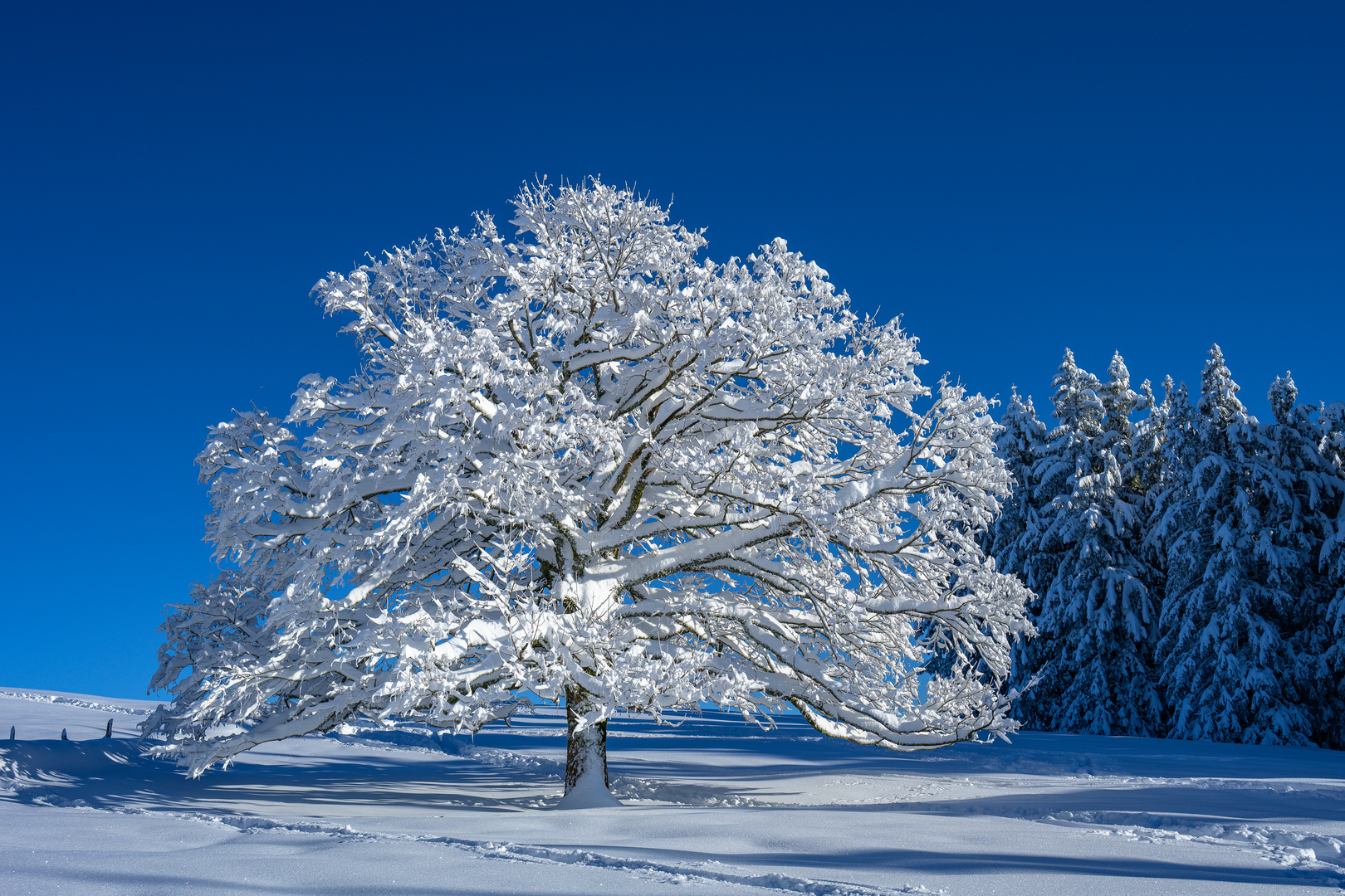 Winter auf dem Regelstein