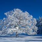 Winter auf dem Regelstein