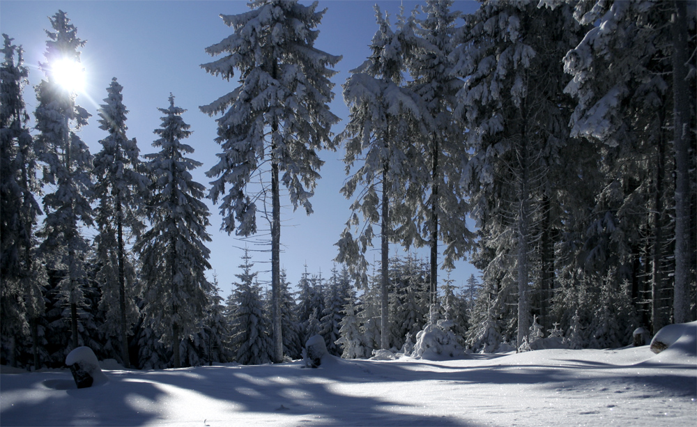 Winter auf dem Rennsteig