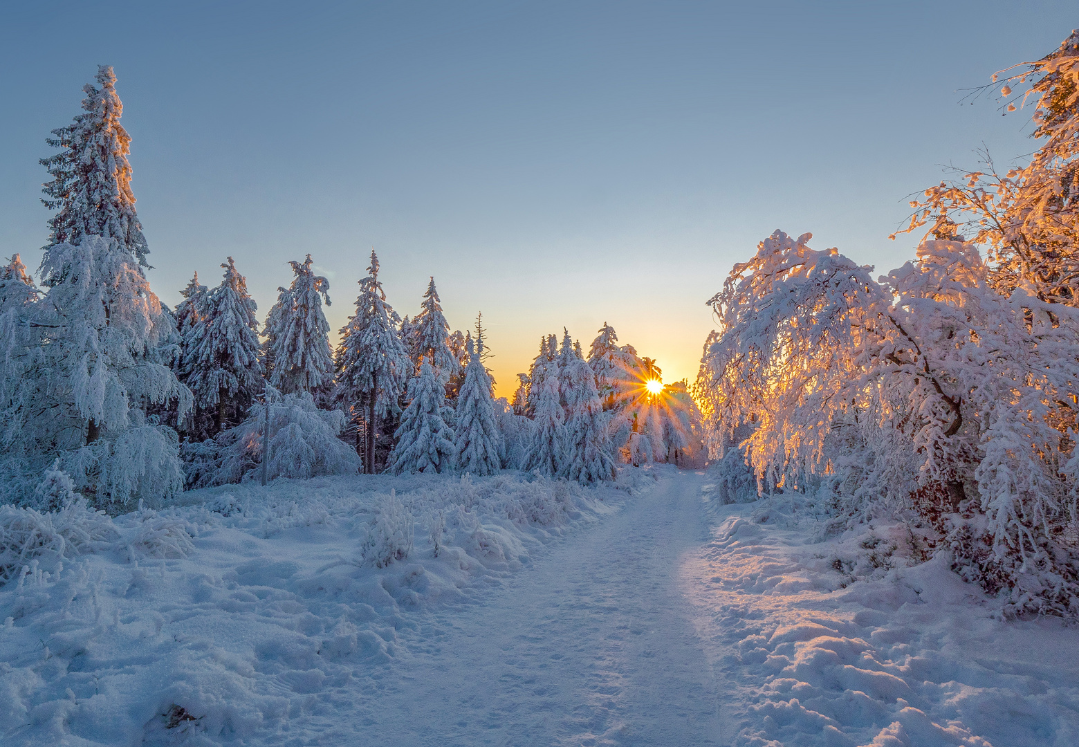 Winter auf dem Rennsteig