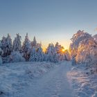 Winter auf dem Rennsteig