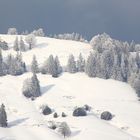 Winter auf dem Ricken