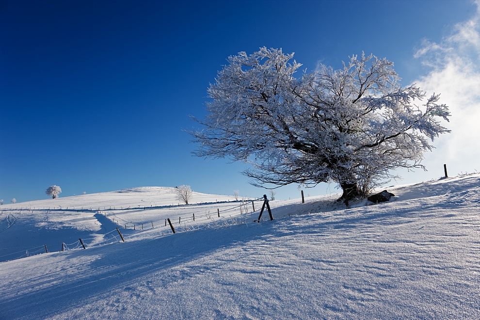 Winter auf dem Schauinsland 01