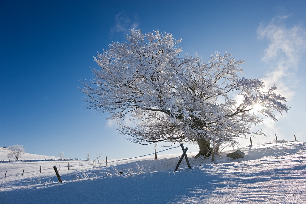 Winter auf dem Schauinsland 02