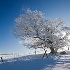 Winter auf dem Schauinsland 02