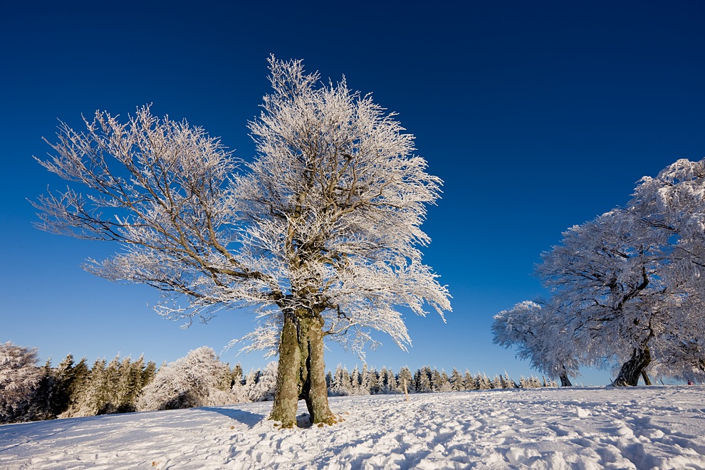 Winter auf dem Schauinsland 04