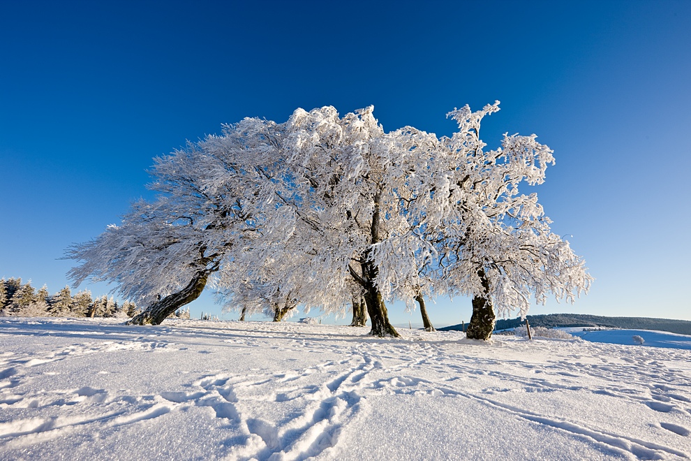 Winter auf dem Schauinsland 05