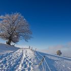 Winter auf dem Schauinsland 07