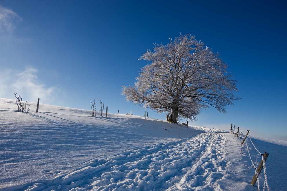 Winter auf dem Schauinsland 08