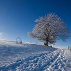 Winter auf dem Schauinsland 08