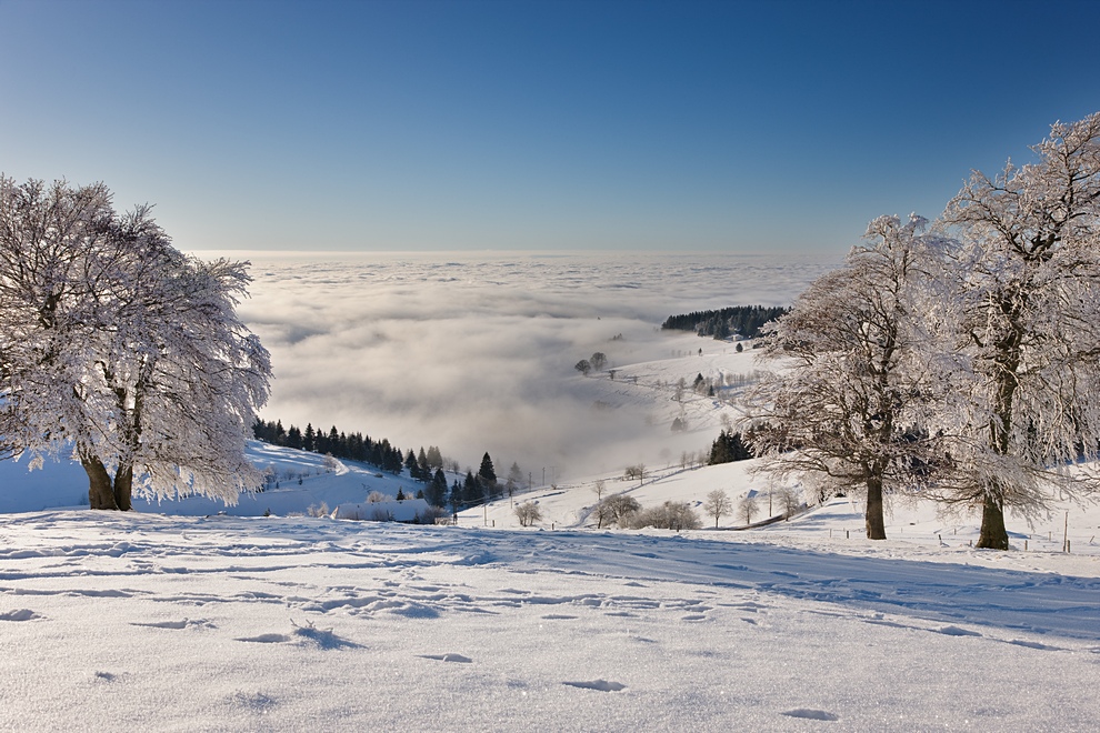 Winter auf dem Schauinsland 10