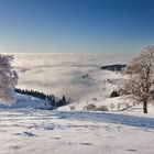 Winter auf dem Schauinsland 10