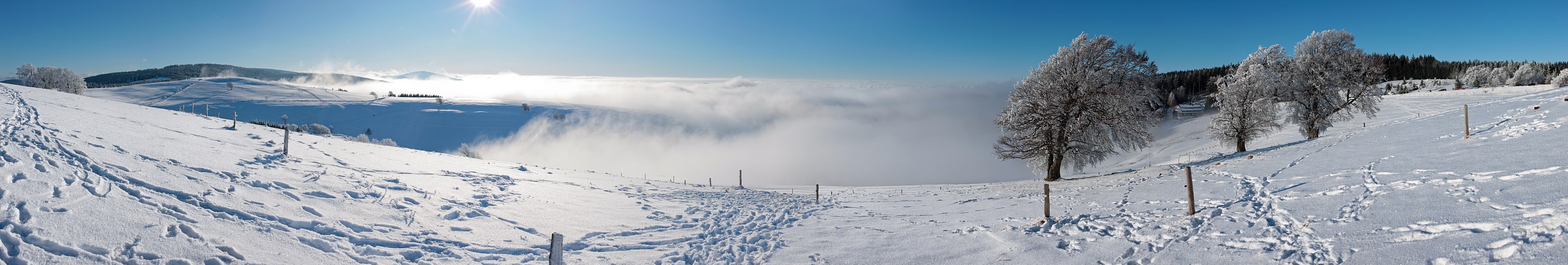 Winter auf dem Schauinsland 11