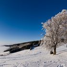 Winter auf dem Schauinsland 12