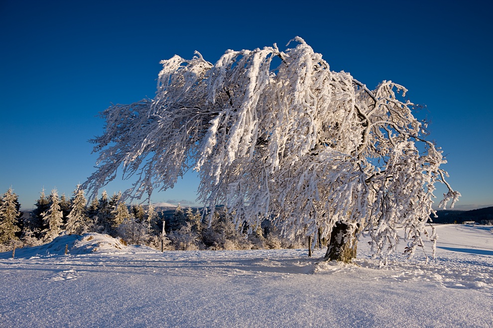 Winter auf dem Schauinsland 13