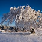 Winter auf dem Schauinsland 13