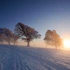 Winter auf dem Schauinsland 17