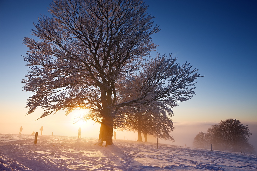 Winter auf dem Schauinsland 18