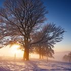 Winter auf dem Schauinsland 18