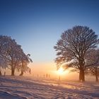 Winter auf dem Schauinsland 19