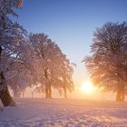 Winter auf dem Schauinsland 20