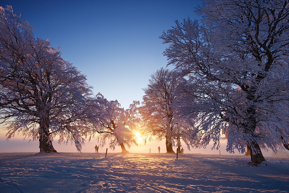 Winter auf dem Schauinsland 21