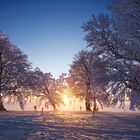 Winter auf dem Schauinsland 21