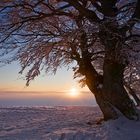 Winter auf dem Schauinsland 22