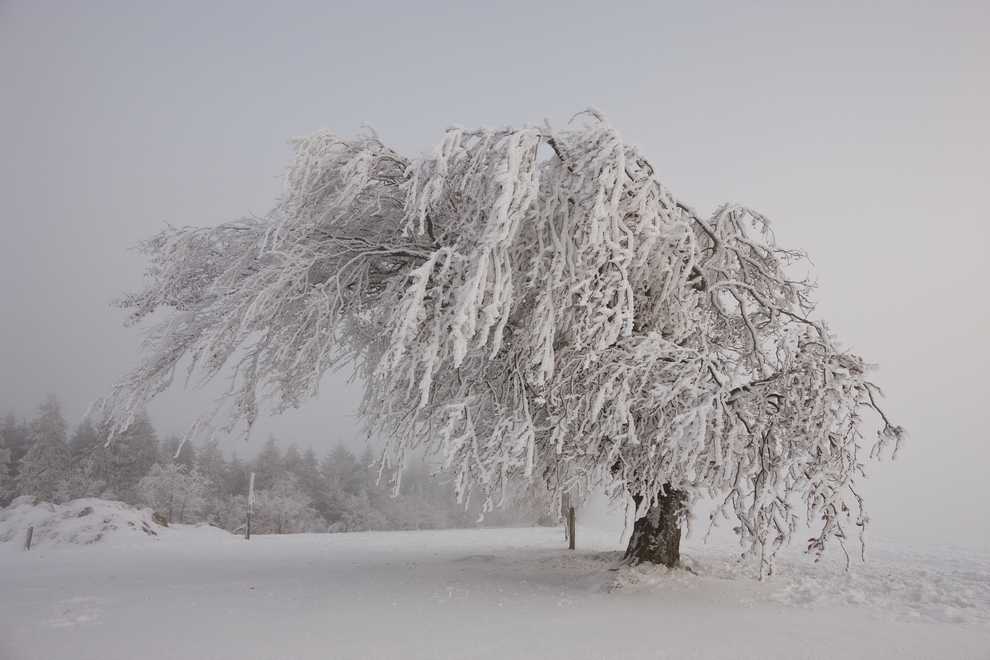 Winter auf dem Schauinsland 23